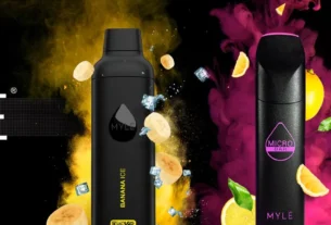 What Makes A Myle Vape Device Easy To Use?